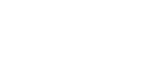 Aquesta web ha estat possible gràcies al suport de