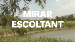 MirarEscoltant